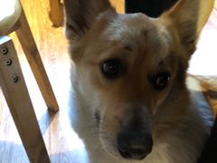 -阿木舂记·特色小吃(平江路店)