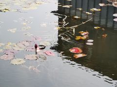 -星巴克(深圳前海企业公馆店)