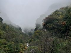 -青峰峡国家森林公园