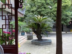 -生宇山珍野生菌汤锅•始于1999(双流古塔店)