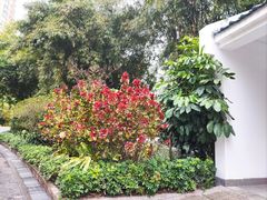-晓港公园