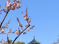 -无锡梅园公园