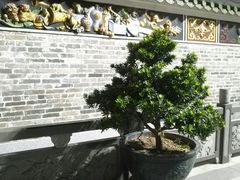 -杨箕村B区