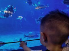 -烟台海昌鲸鲨海洋公园