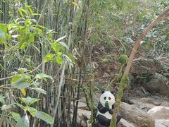-牛鱼嘴原始生态风景区