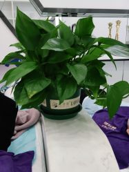 点击看大图 -蕾特恩专业祛痘·皮肤管理