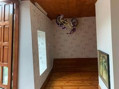 -金山农民画村-枫泾波兰倒置屋