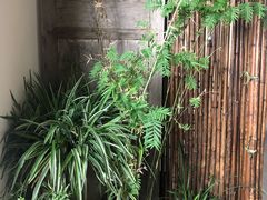 -冰冰龙虾·江湖菜·花园江景餐厅