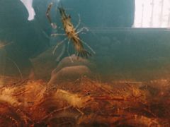 -华盛丰温州大排档(东三环南路店)