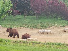 -北京野生动物园