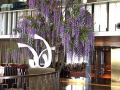 -金轩中餐厅 Jin Xuan(浦东丽思卡尔顿酒店)