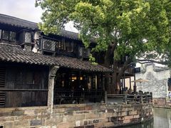 -乌镇东栅景区