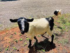 -丽江泸沽湖景区