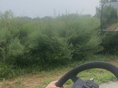 -盐城丹顶鹤湿地生态旅游区