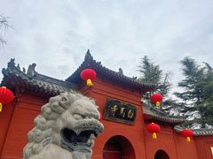 -洛阳白马寺