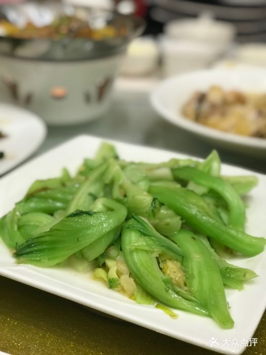 国金酒楼-水东芥菜-菜-水东芥菜图片-江门美食-大众点评网