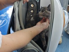 -博特宠物医院24h犬猫全科.骨科·异宠