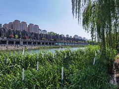 -西安汉城湖景区