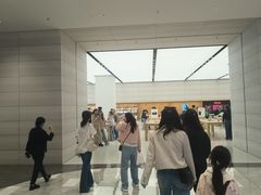 -Apple零售店(济南恒隆广场店)
