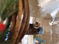 -Me Coffee下午茶艺术空间