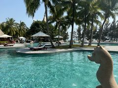 -海南清水湾莱佛士酒店