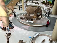 -陕西自然博物馆