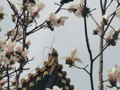 -东华门大街小区