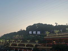 -枇杷园食为鲜火锅(南山店)