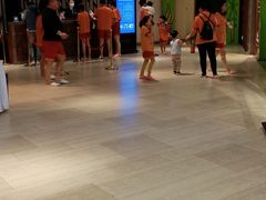 -齐河孔雀王温泉酒店·金孔雀自助百汇
