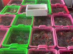 -众味海鲜大排档·活海鲜·潮汕味(南澳店)