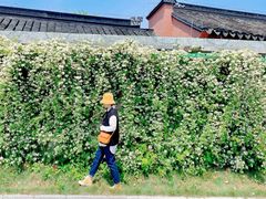 -梅村泰伯庙