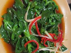 -廖川菜(太阳宫店)