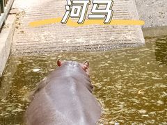 -无锡动物园·太湖欢乐园