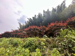 -鹿亭中村