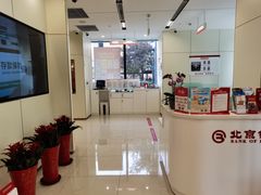 -北京银行(朝阳支行)