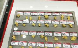-荟华楼金店(中街店)