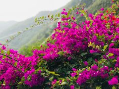 -汕尾铜鼎山旅游区
