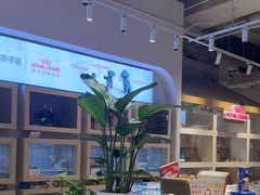 -囡的喵喵酱·萌宠生活馆·宠物洗护美容(胶州路店)