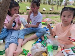 -九龙湖公园