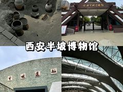 -陕西历史博物馆