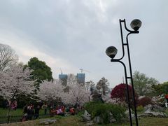 -堤角公园