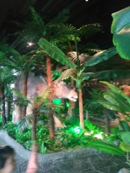 -龙小湖探索乐园 Little Hoo Galaxy(龙湖重庆金沙天街店)