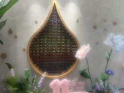 -dōTERRA多特瑞精油生活馆