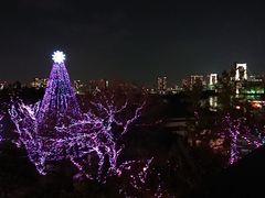 -台场海滨公园船码头