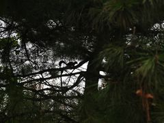 -北京宽沟会议中心