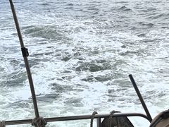 -日照海滨国家森林公园