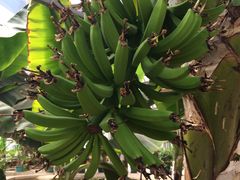 -万源龙顺度假庄园生态观光园