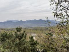 -樱花山风景区