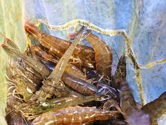 -巽寮印象美食部落餐厅·海鲜·地方特色菜(惠州体验店)