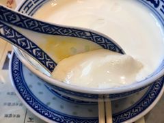 招牌姜撞奶-捷信牛奶甜品世家(五道口店)